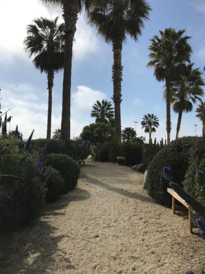 Apartamento Departamento Con Vista Al Mar - La Serena *
